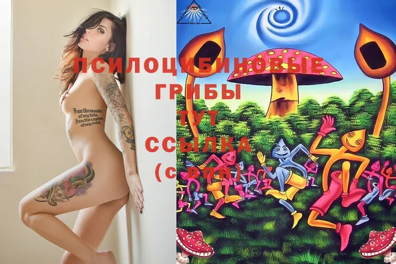 Галлюциногенные грибы Psilocybine cubensis  это Telegram  Бокситогорск 